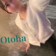 ヒメ日記 2025/12/25 20:22 投稿 おとは C.C.CATS