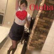 ヒメ日記 2025/12/26 16:42 投稿 おとは C.C.CATS