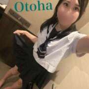 ヒメ日記 2026/01/01 16:42 投稿 おとは C.C.CATS