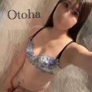 ヒメ日記 2026/01/16 00:03 投稿 おとは CCキャッツ