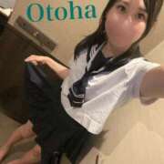 ヒメ日記 2026/01/27 17:22 投稿 おとは CCキャッツ