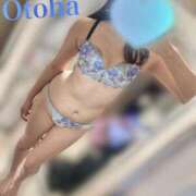 ヒメ日記 2026/01/28 02:02 投稿 おとは CCキャッツ