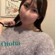 ヒメ日記 2026/01/29 19:03 投稿 おとは CCキャッツ