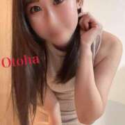 ヒメ日記 2026/02/18 19:02 投稿 おとは CCキャッツ