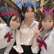 ヒメ日記 2026/02/20 12:03 投稿 おとは CCキャッツ