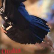 ヒメ日記 2026/02/23 01:42 投稿 おとは CCキャッツ