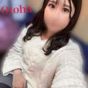 ヒメ日記 2026/03/03 12:22 投稿 おとは CCキャッツ