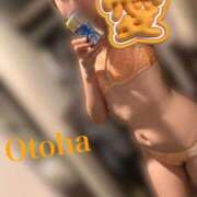 ヒメ日記 2026/03/17 20:42 投稿 おとは CCキャッツ