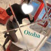 ヒメ日記 2026/03/18 20:22 投稿 おとは CCキャッツ