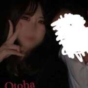 ヒメ日記 2026/03/21 18:42 投稿 おとは CCキャッツ