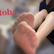 ヒメ日記 2026/03/31 19:42 投稿 おとは CCキャッツ