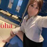 おとは 生まれたての小鹿 CCキャッツ