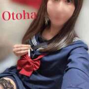 ヒメ日記 2026/10/16 16:23 投稿 おとは CCキャッツ
