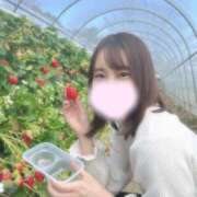 ヒメ日記 2026/03/16 15:27 投稿 末澤 こべに Neo Elegance（ネオエレガンス）