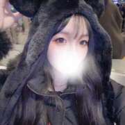 ヒメ日記 2025/03/15 17:35 投稿 エアリ きらめけ！にゃんにゃん学園in大宮