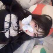 ヒメ日記 2025/03/31 16:29 投稿 エアリ きらめけ！にゃんにゃん学園in大宮