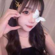 ヒメ日記 2025/04/21 11:01 投稿 エアリ きらめけ！にゃんにゃん学園in大宮