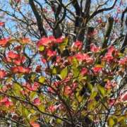 青山 今日もよろしくデス✨ ナイトパーティー