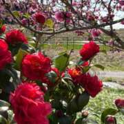 青山 5月4日出勤です🎵 ナイトパーティー