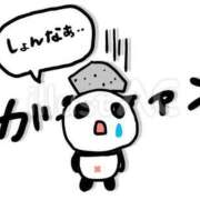 ヒメ日記 2025/05/20 09:22 投稿 二階堂かぐや しこたま奥様 横浜店