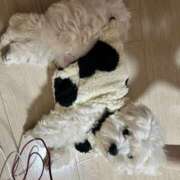 ヒメ日記 2025/02/07 15:43 投稿 ゆう CLUB DEEP 博多