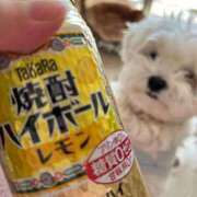 ヒメ日記 2025/02/11 14:53 投稿 ゆう CLUB DEEP 博多