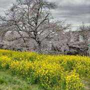 ヒメ日記 2025/04/07 19:40 投稿 山本 人妻楼 熊谷店