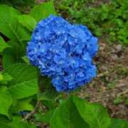 ヒメ日記 2025/06/22 18:06 投稿 山本 人妻楼 熊谷店