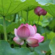 ヒメ日記 2025/07/16 21:44 投稿 山本 人妻楼 熊谷店