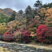 ヒメ日記 2025/11/07 09:56 投稿 山本 人妻楼 熊谷店