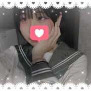 ヒメ日記 2024/12/31 22:01 投稿 うさぎ ホワイトハウス