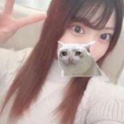 ヒメ日記 2025/02/15 10:19 投稿 るい 川崎ソープ　クリスタル京都南町