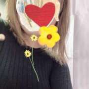 ヒメ日記 2024/12/29 17:38 投稿 かほ 静岡駅前ちゃんこ