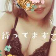 ヒメ日記 2025/01/04 13:38 投稿 かほ 静岡駅前ちゃんこ