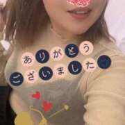 ヒメ日記 2025/01/04 16:18 投稿 かほ 静岡駅前ちゃんこ