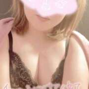 ヒメ日記 2025/01/30 16:08 投稿 かほ 静岡駅前ちゃんこ