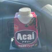 ヒメ日記 2025/03/19 17:28 投稿 かほ 静岡駅前ちゃんこ