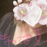 ヒメ日記 2025/03/19 23:18 投稿 かほ 静岡駅前ちゃんこ