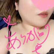 ヒメ日記 2025/03/23 12:26 投稿 かほ 静岡駅前ちゃんこ