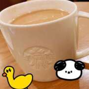 ヒメ日記 2025/04/19 23:28 投稿 かほ 静岡駅前ちゃんこ