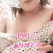 ヒメ日記 2025/04/25 18:18 投稿 かほ 静岡駅前ちゃんこ