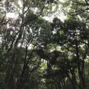 ヒメ日記 2025/01/27 21:30 投稿 れいか アドミsince2002立川デリヘル&Go To FANTASY東京本店