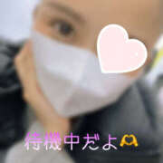 れいか たいきちゅう アドミsince2002立川デリヘル&Go To FANTASY東京本店