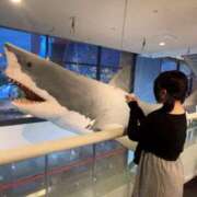 ヒメ日記 2025/06/02 01:10 投稿 坂本　めい NADIA大阪店