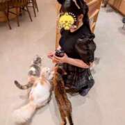 ヒメ日記 2025/06/24 07:00 投稿 坂本　めい NADIA大阪店