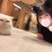 ヒメ日記 2025/07/14 06:51 投稿 坂本　めい NADIA大阪店