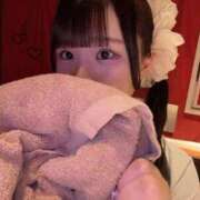 ヒメ日記 2026/04/16 01:00 投稿 坂本　めい NADIA大阪店