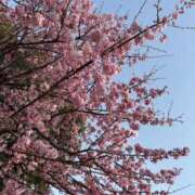 ヒメ日記 2025/03/27 15:27 投稿 美乃莉～MINORI～ パラダイス(泉大津)