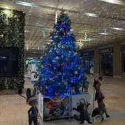 ヒメ日記 2025/12/20 18:09 投稿 せりな アイドルドリーム