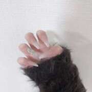 ヒメ日記 2026/02/16 18:09 投稿 せりな アイドルドリーム